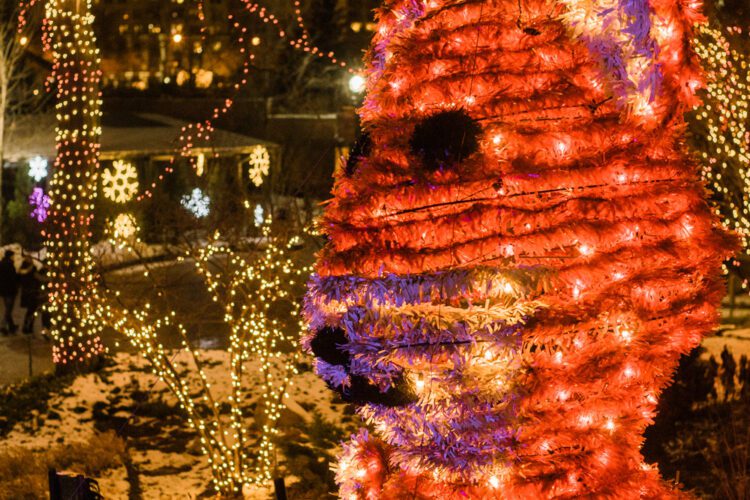 ZooLights, a Holiday Staple in Chicago, Returns to Lincoln Park Zoo for