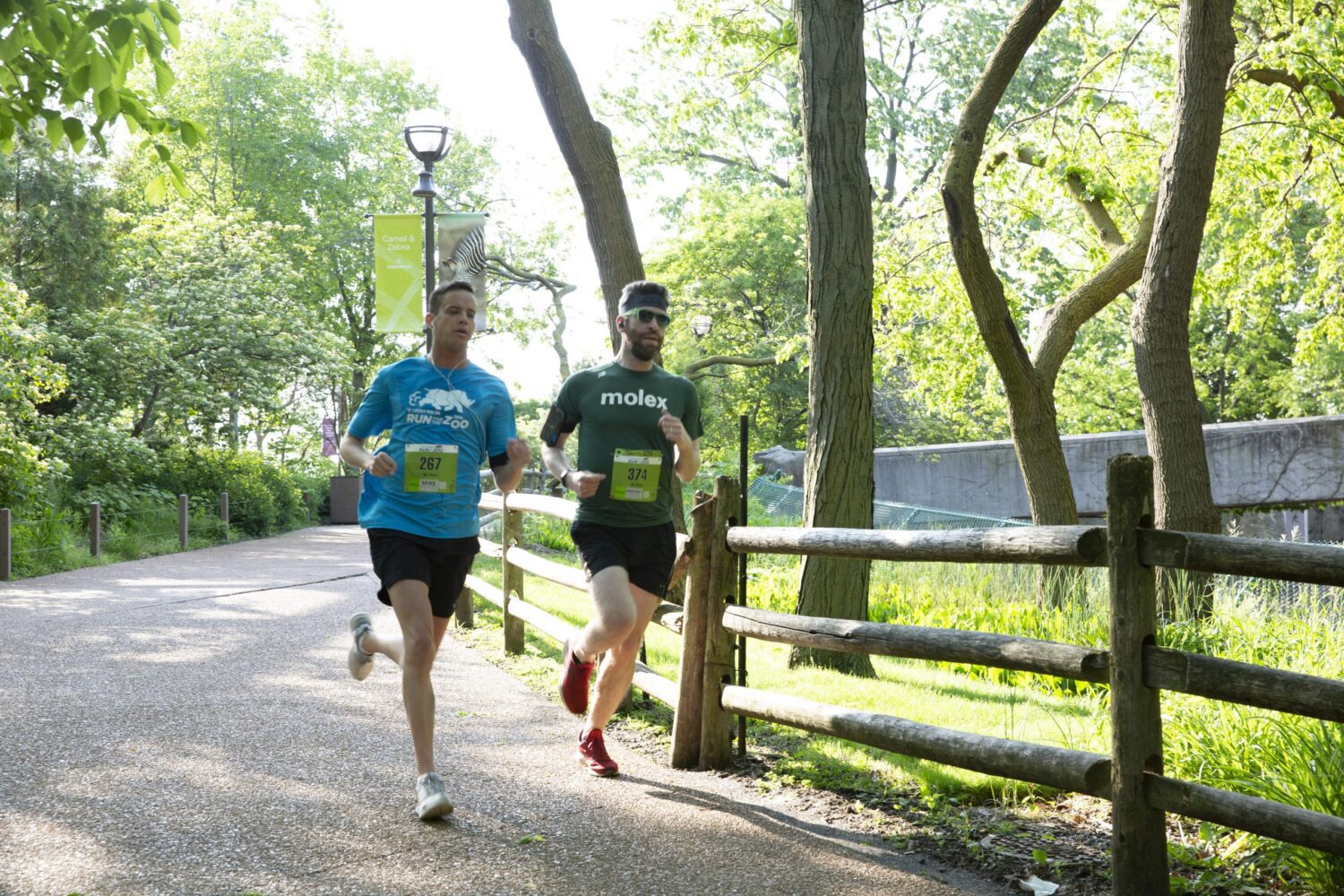 Lincoln Park Zoo's Run for the Zoo Returns in Support of Wildlife