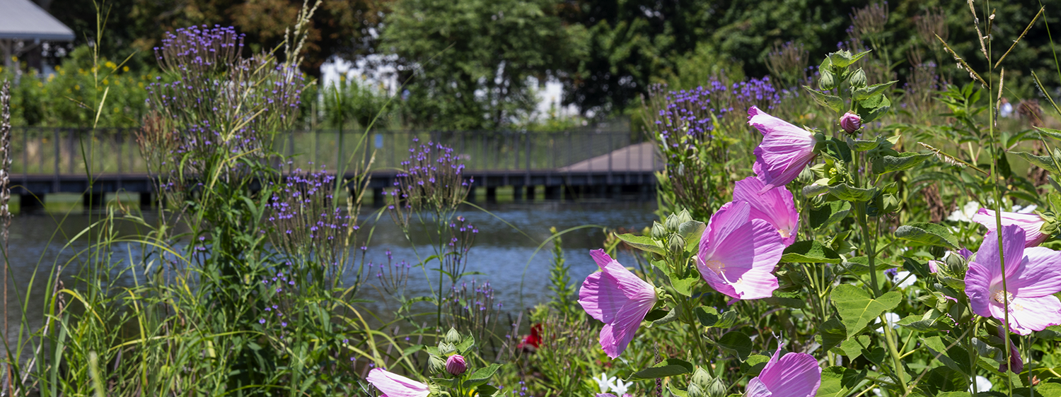 Second Saturday Garden Tours