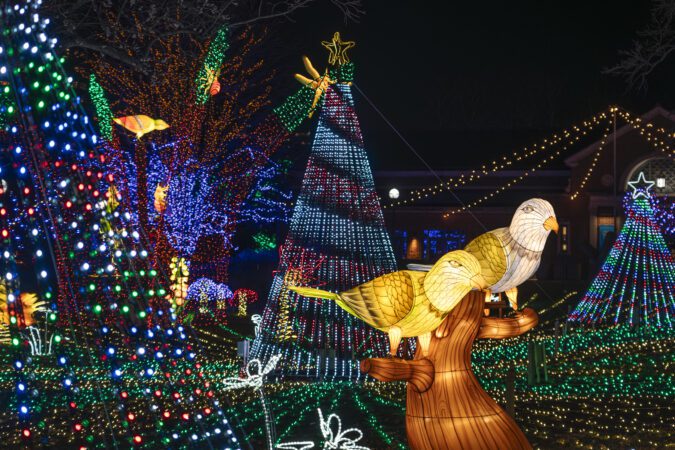 ZooLights Celebrates 30 Years Of Holiday Magic At Lincoln Park Zoo ...