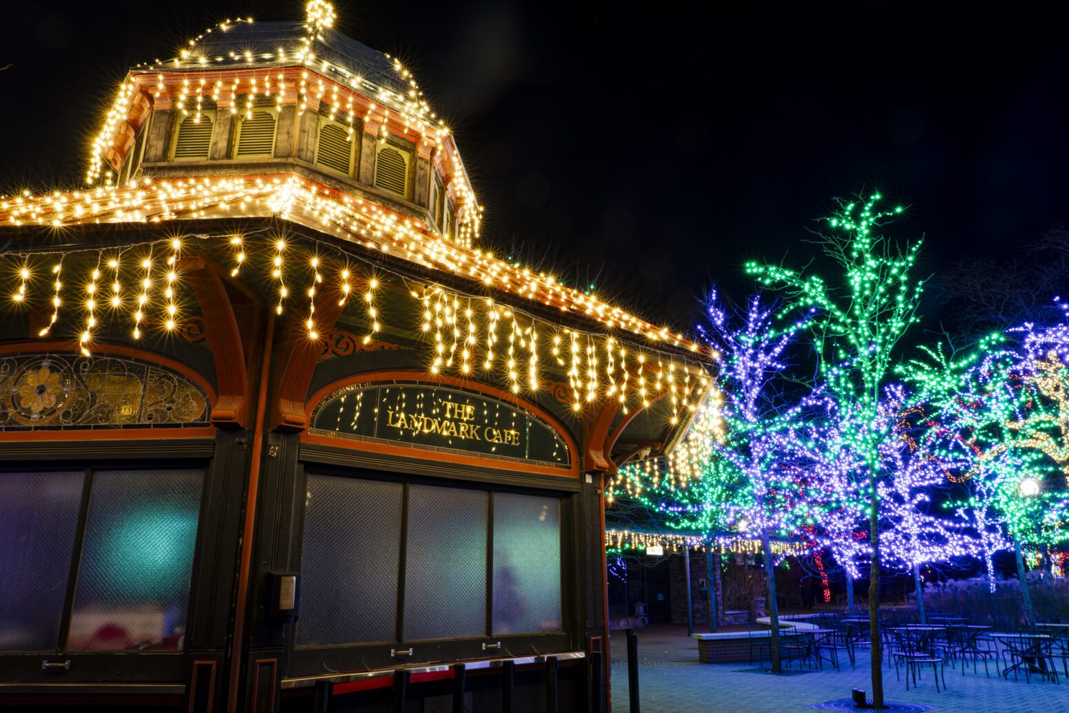 ZooLights Celebrates 30 Years Of Holiday Magic At Lincoln Park Zoo ...