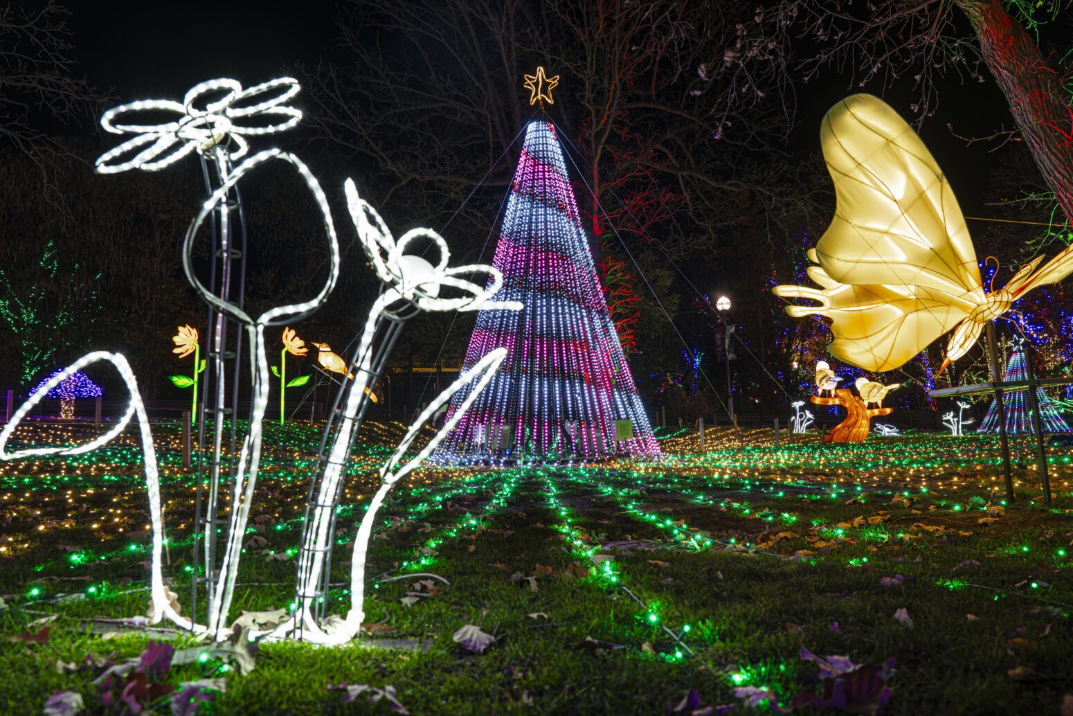 ZooLights Celebrates 30 Years of Holiday Magic at Lincoln Park Zoo Lincoln Park Zoo