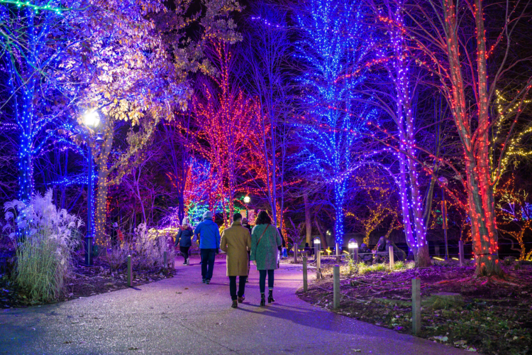 Lincoln Zoo Lights 2025