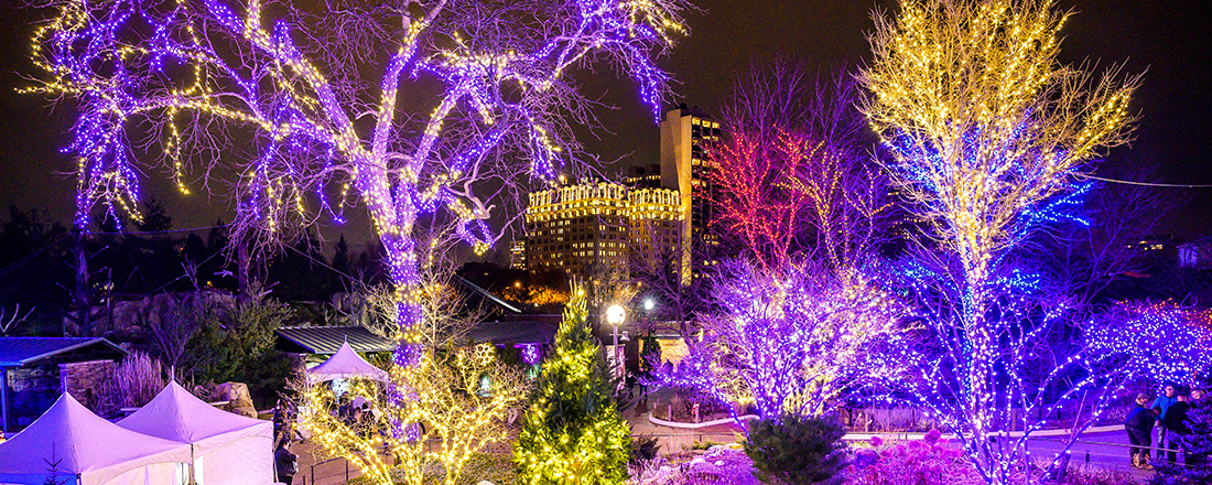 Sensory-Friendly Night at ZooLights Presented by ComEd and Invesco QQQ