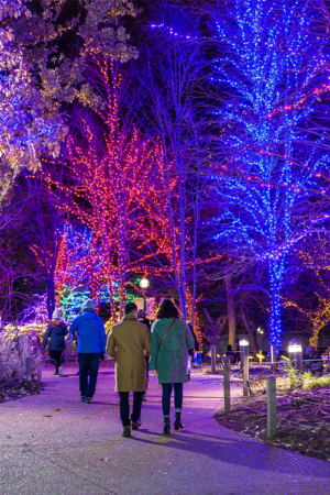 Sensory-Friendly Night at ZooLights Presented by ComEd and Invesco QQQ ...