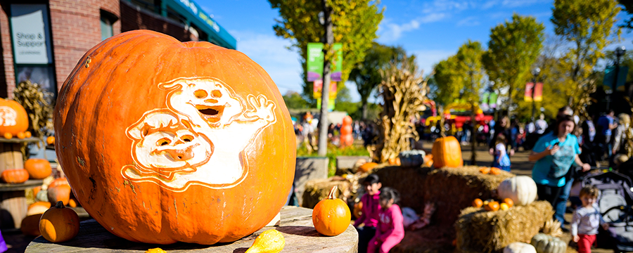 Fall Fest Presented by Jewel-Osco is Now Open at Lincoln Park Zoo