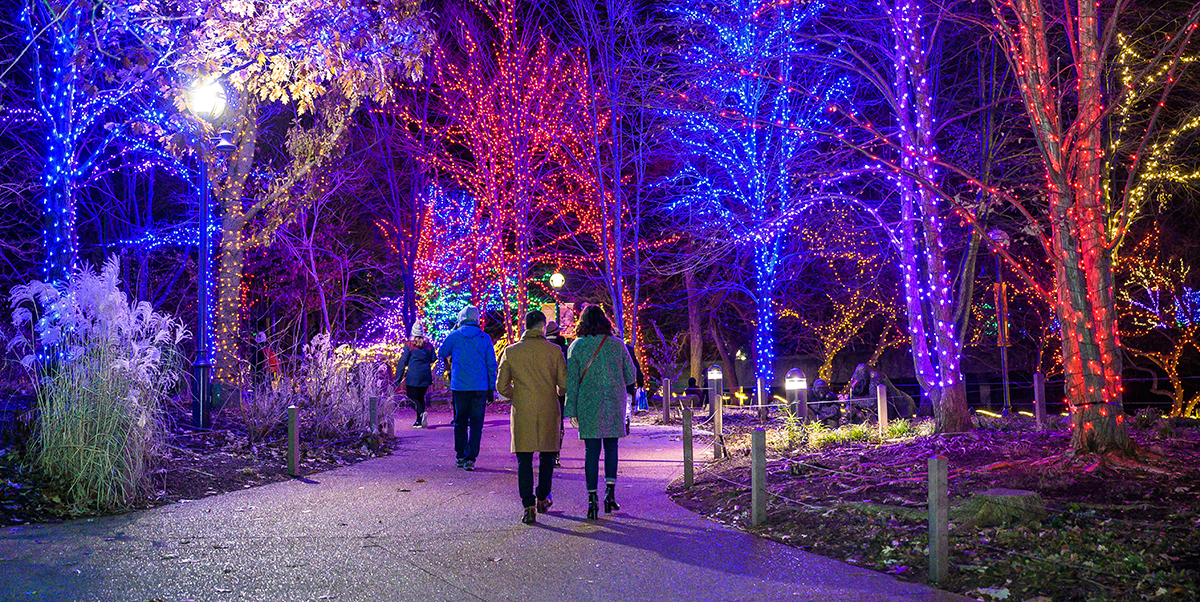 ZooLights Presented by ComEd and Invesco QQQ